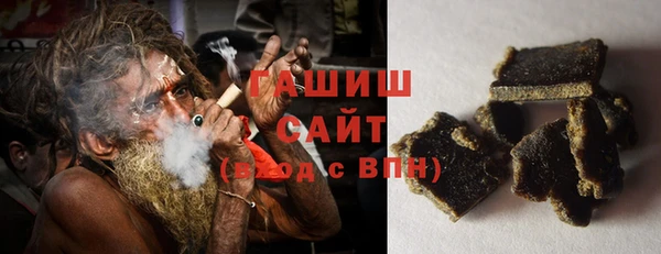 прущие грибы Вяземский