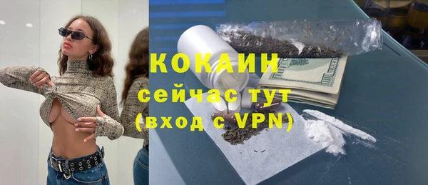 шишки Вязьма