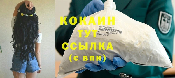 шишки Вязьма