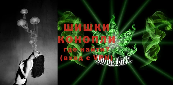 прущие грибы Вяземский