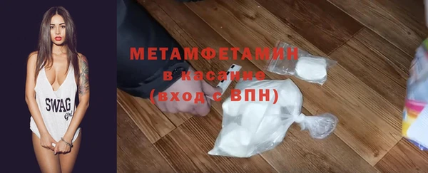 прущие грибы Вяземский