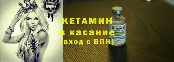 прущие грибы Вяземский