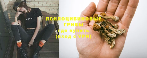 шишки Вязьма