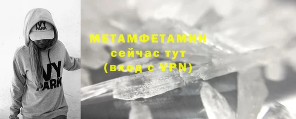 прущие грибы Вяземский