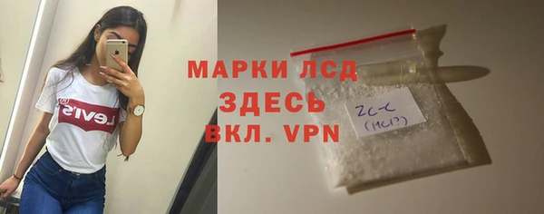прущие грибы Вяземский