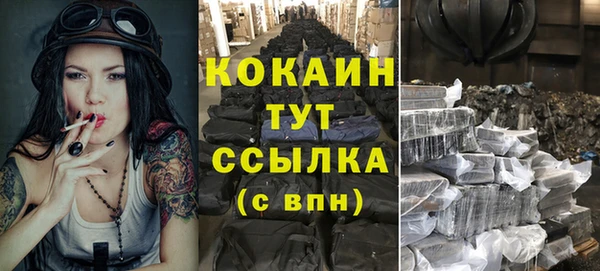 прущие грибы Вяземский