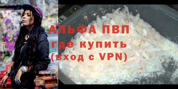 прущие грибы Вяземский