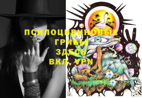 шишки Вязьма