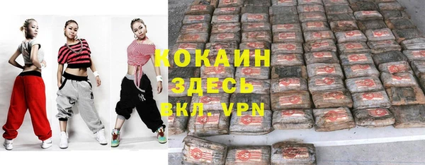 шишки Вязьма