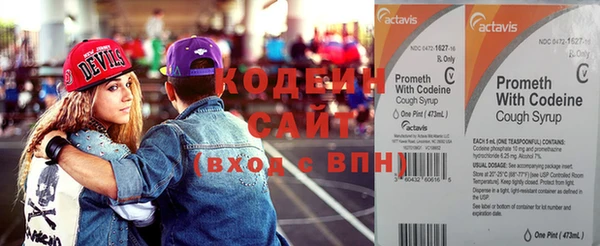 прущие грибы Вяземский