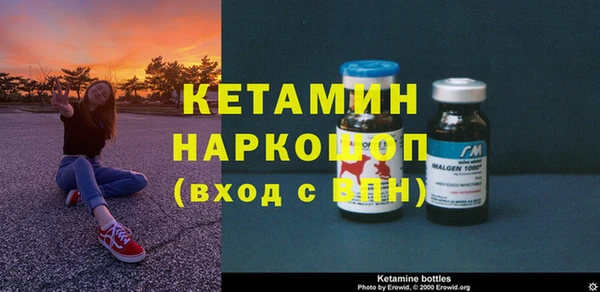 прущие грибы Вяземский