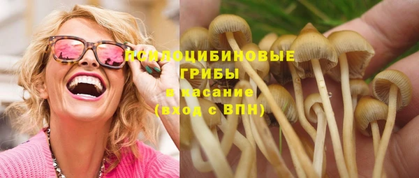 прущие грибы Вяземский