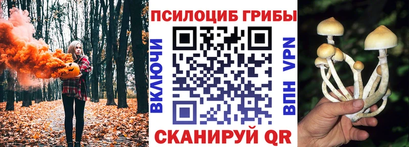 Псилоцибиновые грибы ЛСД  Купить закладки  Пролетарск 